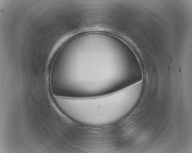 X0000080171416200612081041