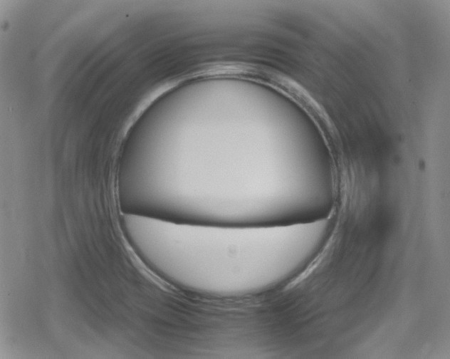 X0000080171417200612081041