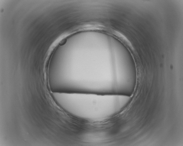 X0000080171419200612081041