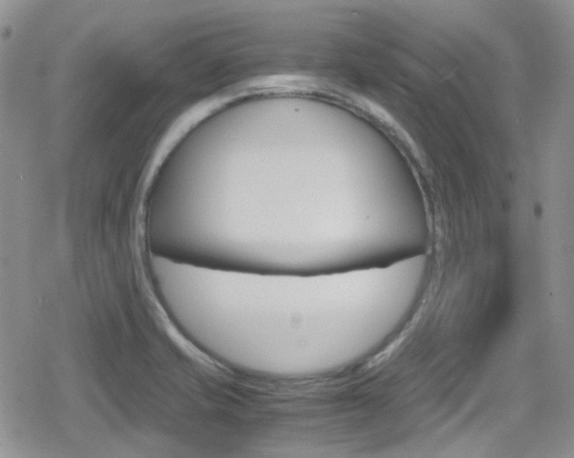 X0000080171421200612081041