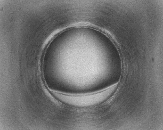 X0000080171422200612081041