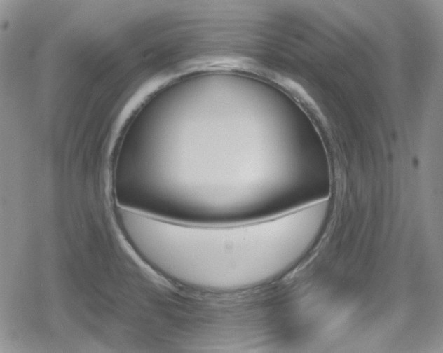 X0000080171424200612081041