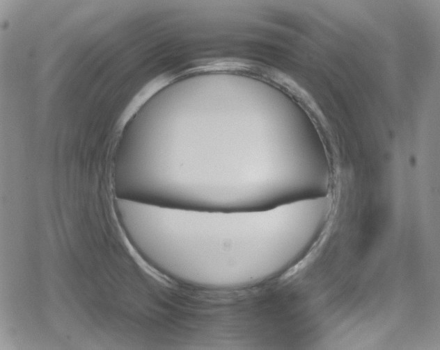 X0000080171425200612081041