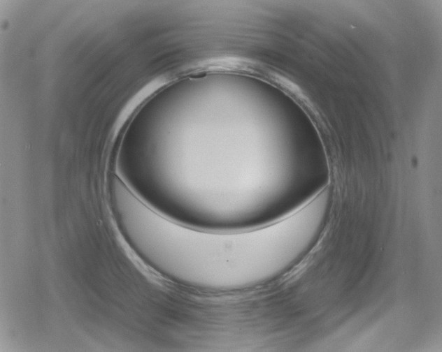 X0000080171426200612081041