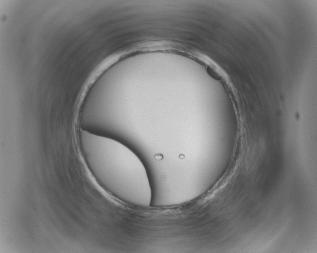 X0000080171429200612081041