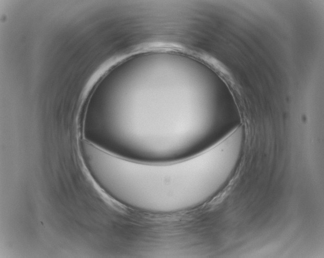 X0000080171430200612081041