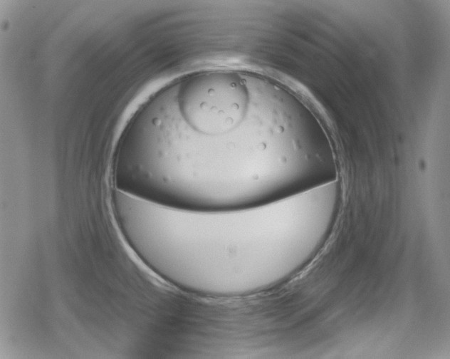 X0000080171432200612081041