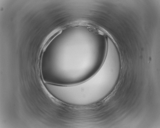 X0000080171434200612081041