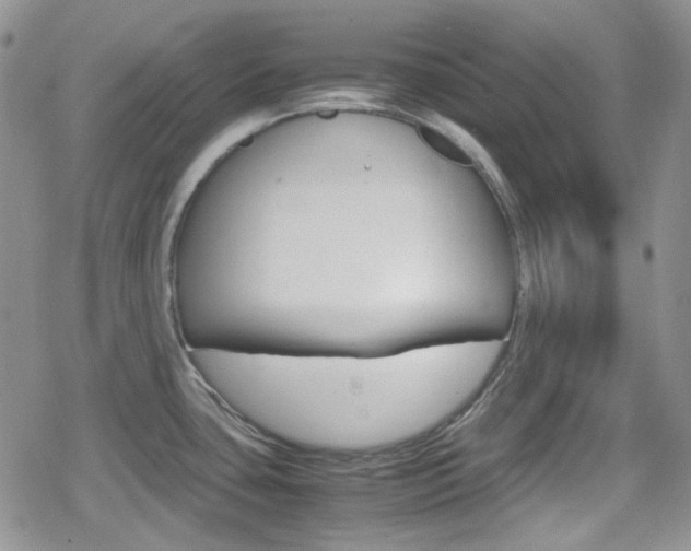X0000080171435200612081041