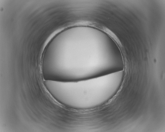 X0000080171436200612081041