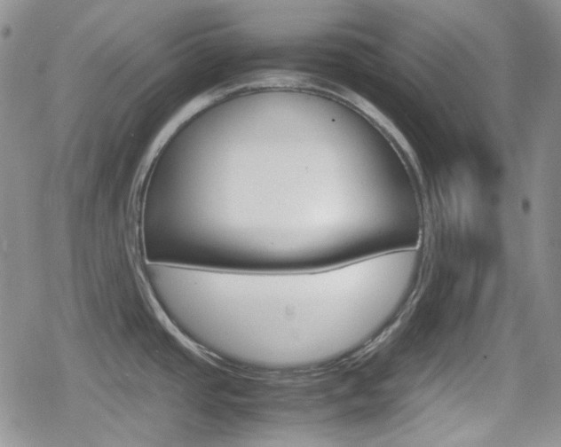 X0000080171437200612081041