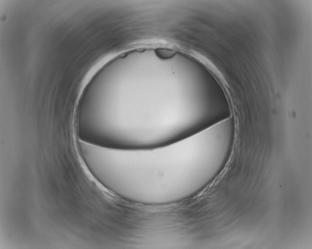 X0000080171440200612081041