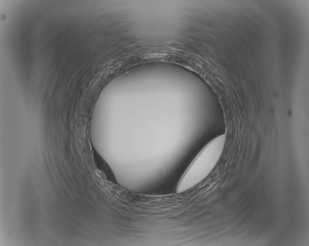 X0000080171441200612081040