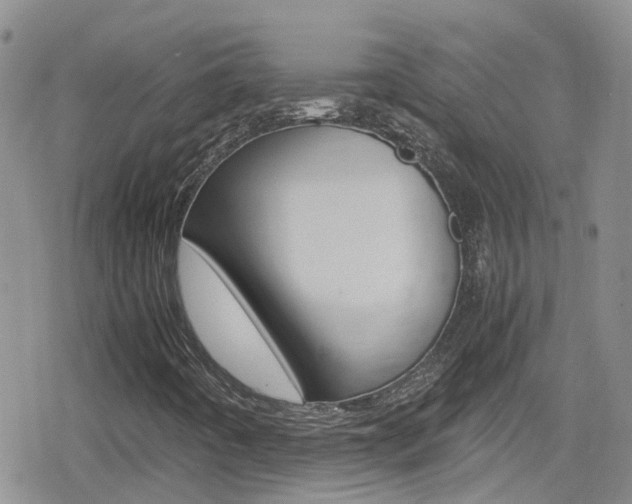 X0000080171442200612081040