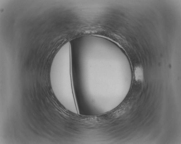 X0000080171444200612081040