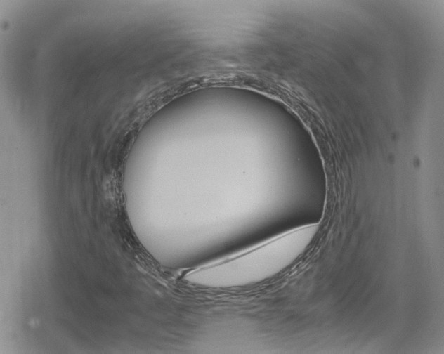 X0000080171445200612081040