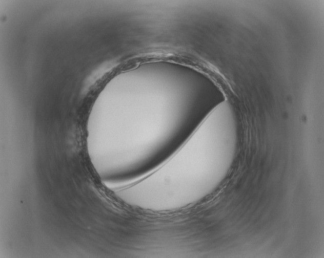 X0000080171448200612081040