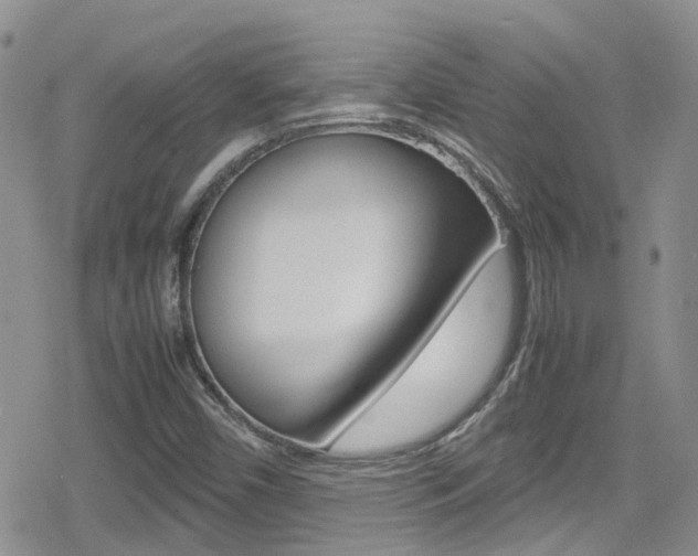 X0000080171450200612081040