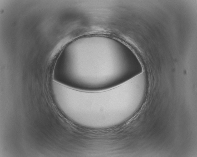 X0000080171455200612081040