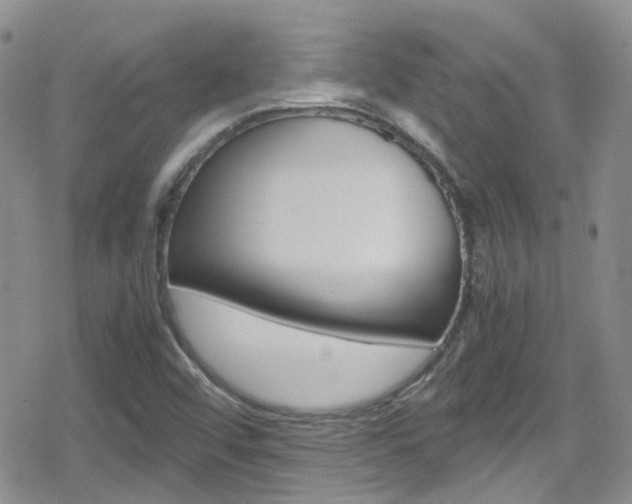 X0000080171456200612081040