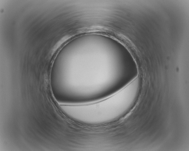 X0000080171457200612081040