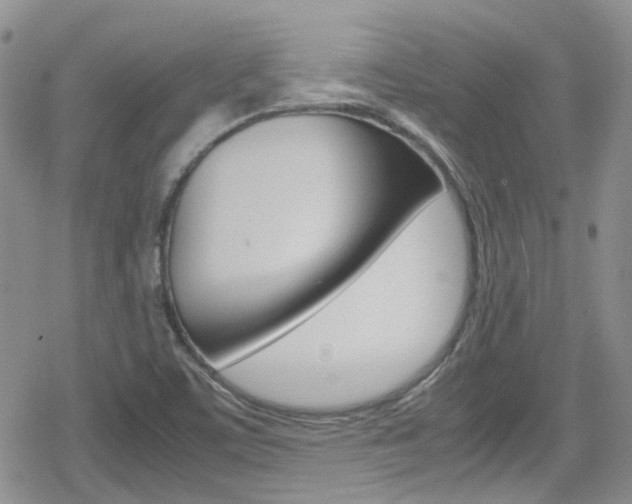 X0000080171459200612081040