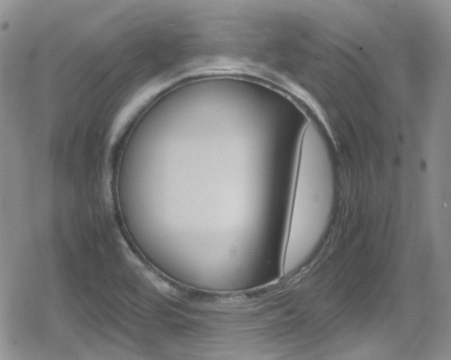 X0000080171464200612081040