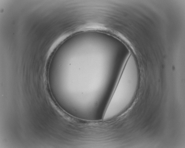 X0000080171469200612081040