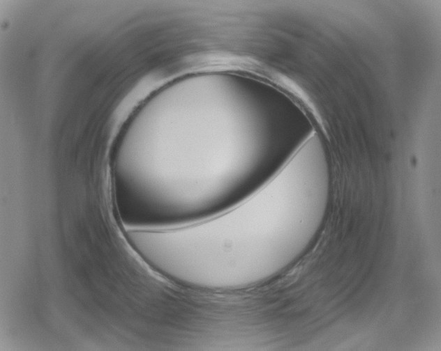 X0000080171472200612081040