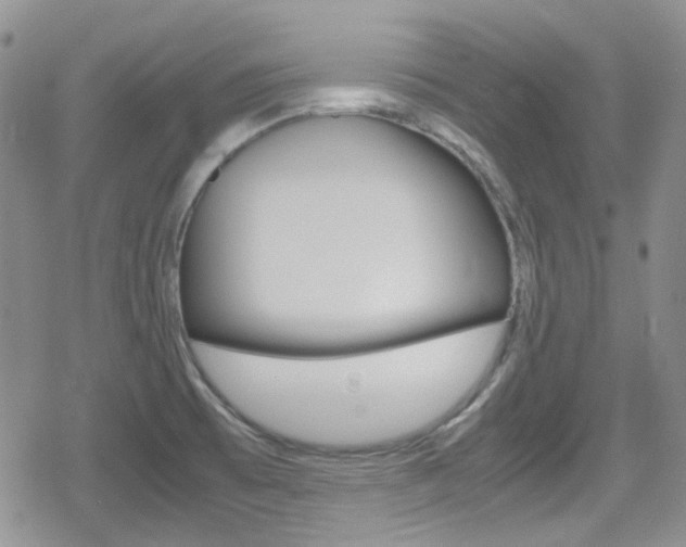 X0000080171473200612081040