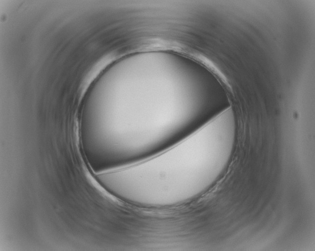 X0000080171476200612081040
