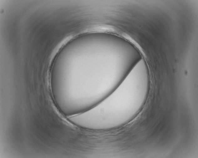X0000080171477200612081040