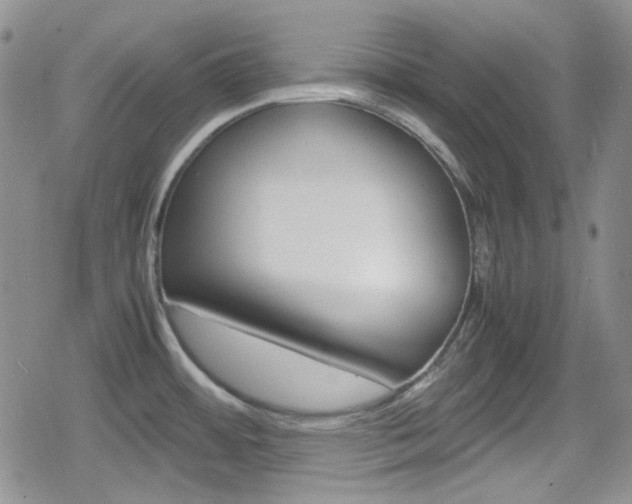 X0000080171484200612081040