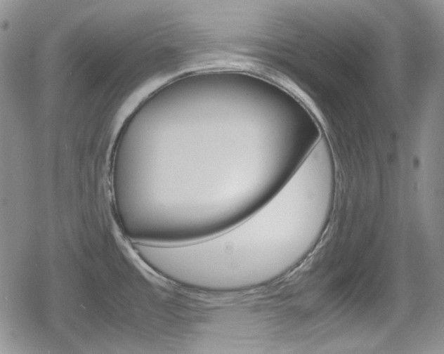 X0000080171485200612081040