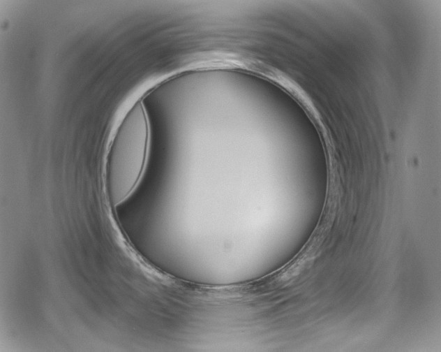 X0000080171488200612081039