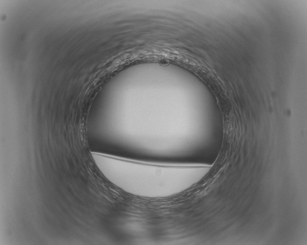 X0000080171490200612081039
