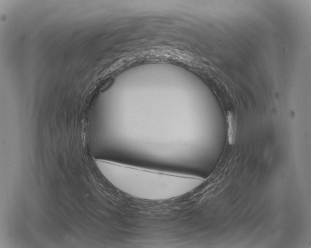 X0000080171491200612081039