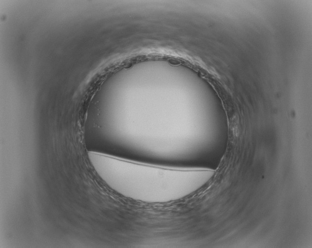 X0000080171495200612081039