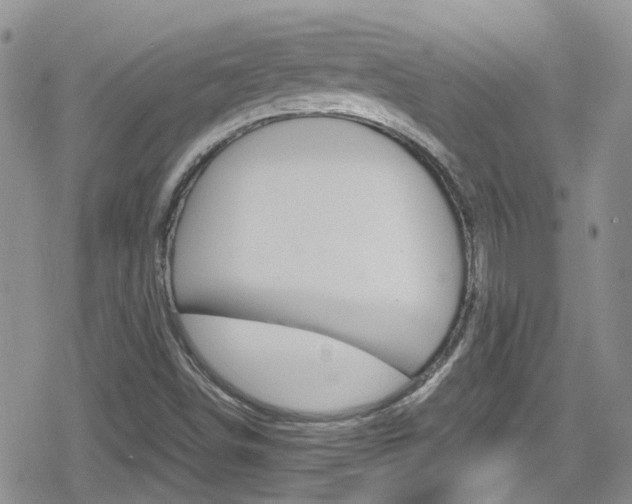 X0000080171498200612081039