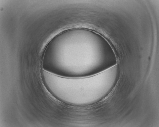 X0000080171500200612081039