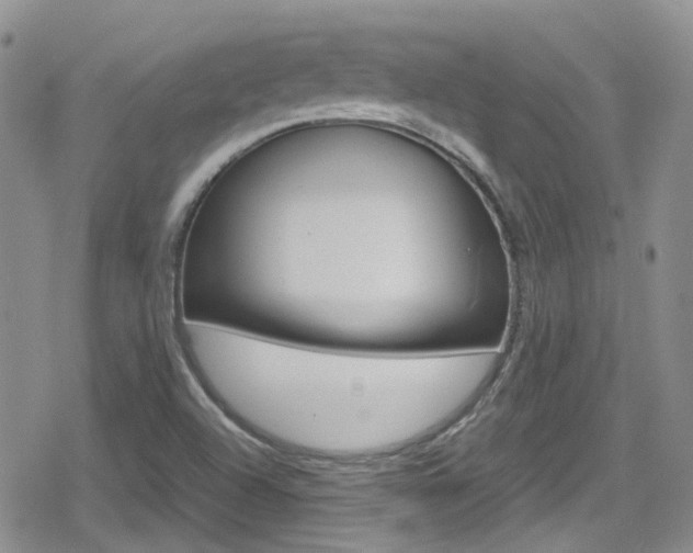 X0000080171504200612081039
