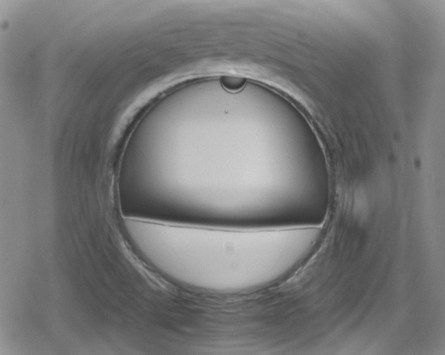X0000080171507200612081039