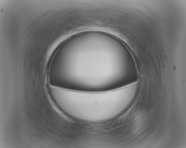 X0000080171511200612081039