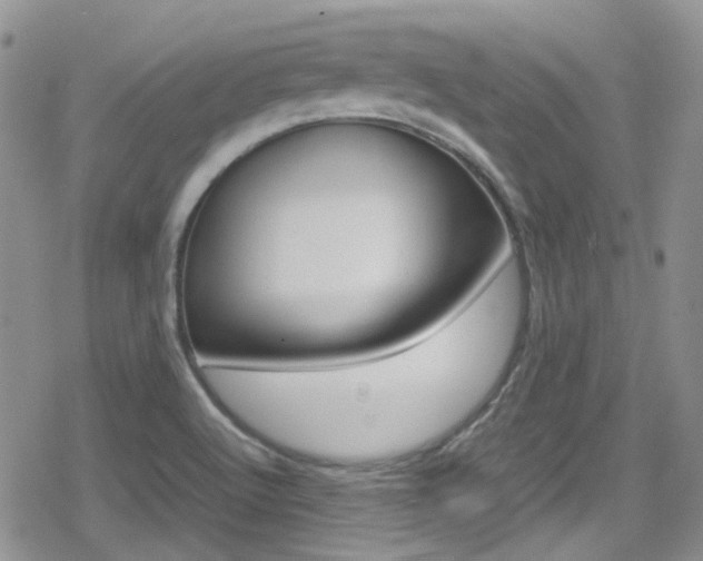 X0000080171512200612081039