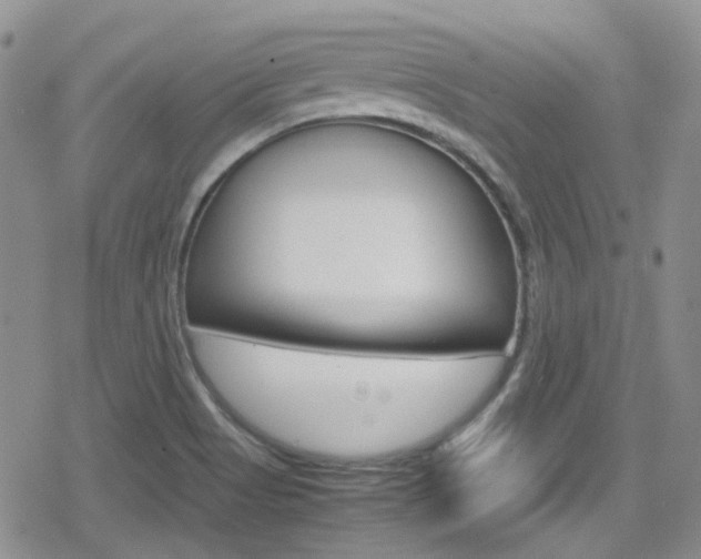 X0000080171513200612081039