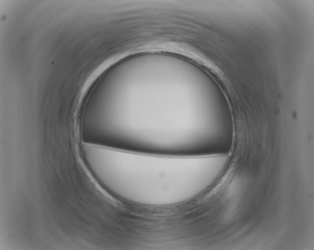 X0000080171517200612081039