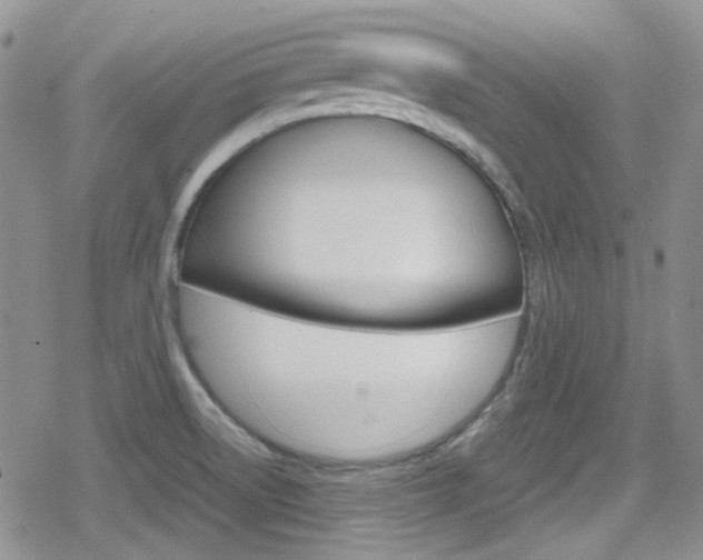 X0000080171522200612081039