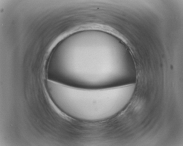 X0000080171523200612081039