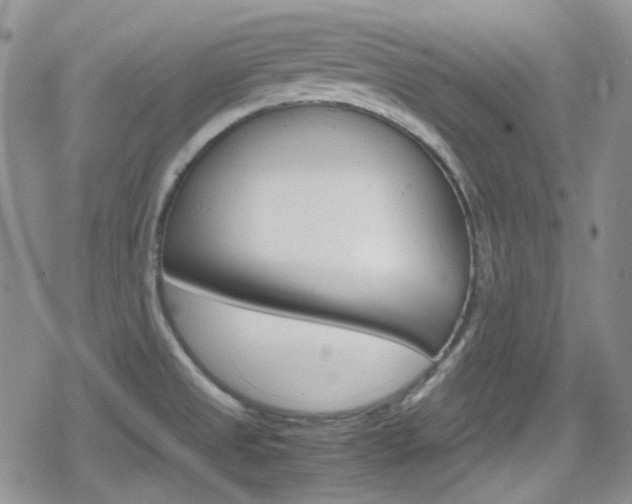 X0000080171525200612081039