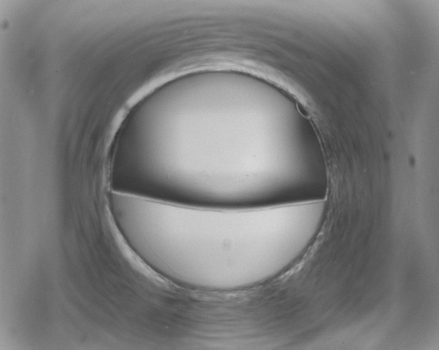 X0000080171526200612081039